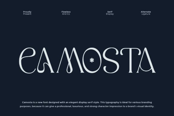 Camosta: A Sophisticated Serif Display Font for Bold Branding